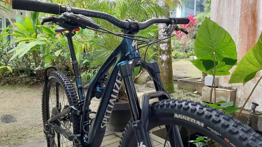 Specialized Stumpjumper Expert Carbon 29