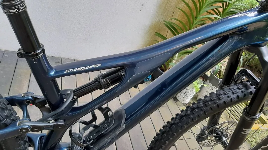 Specialized Stumpjumper Expert Carbon 29