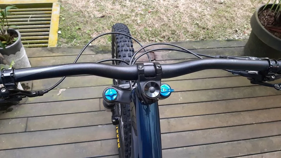 Specialized Stumpjumper Expert Carbon 29