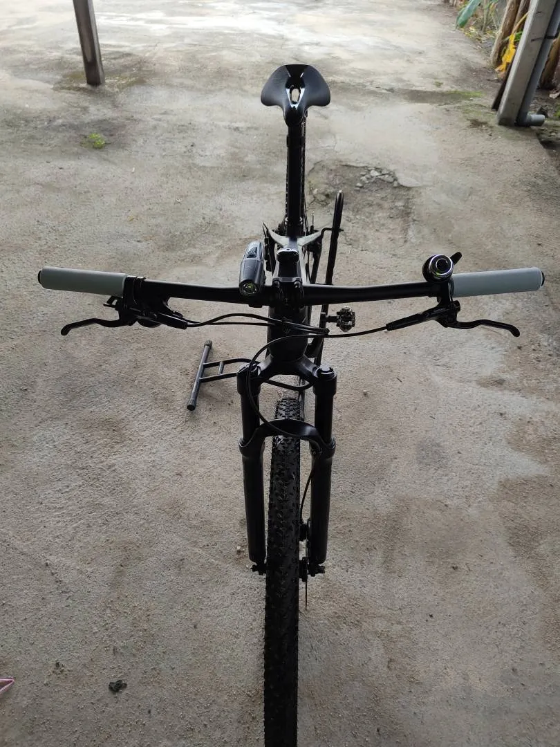 2021 raleigh velos carbon 29er size s