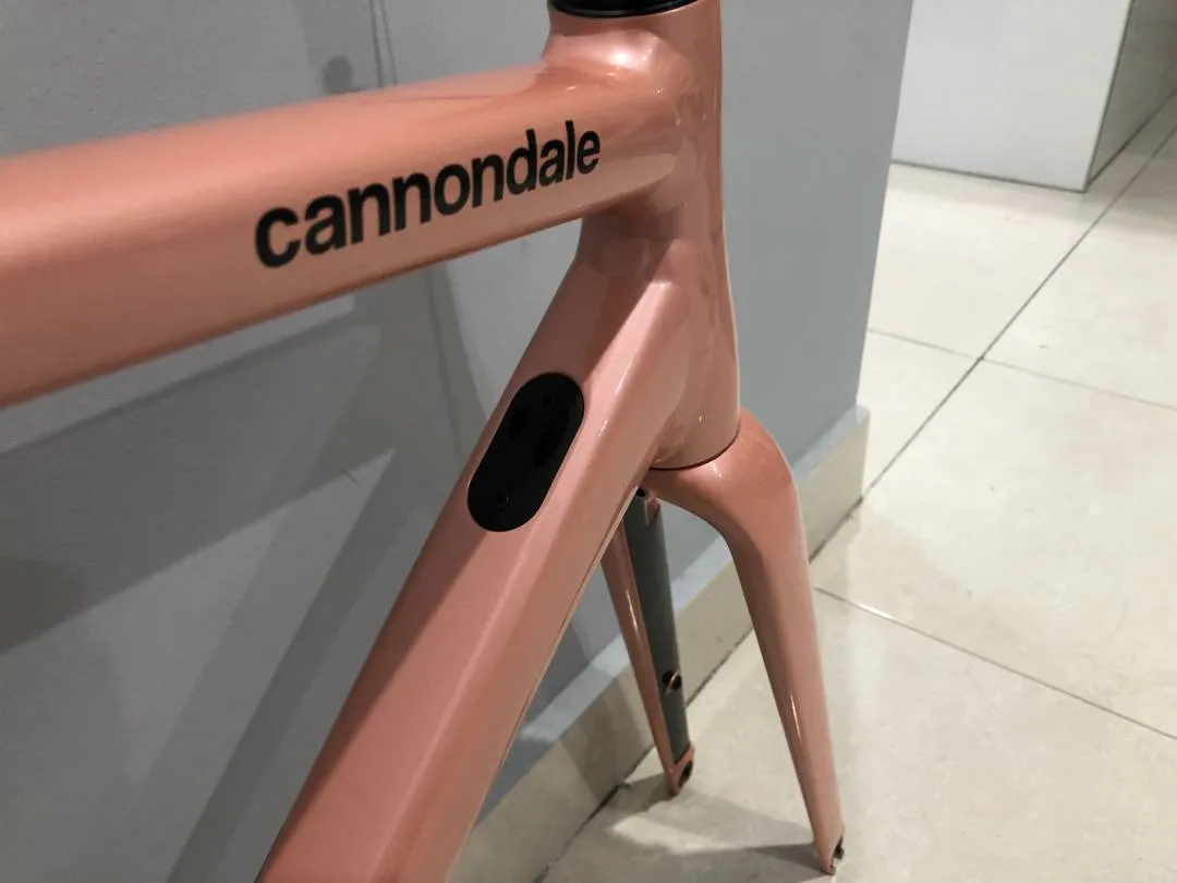 Cannondale CAAD 13 Frameset (Rim Brake)