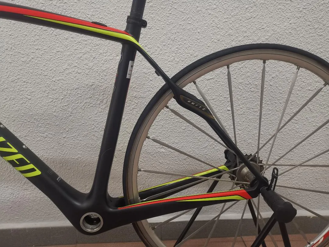 Specialized Rubaix SL4