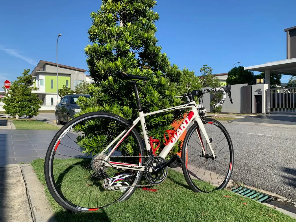 Giant Defy Aluxx 2016 (Good for Begineer &amp; Training Bike)