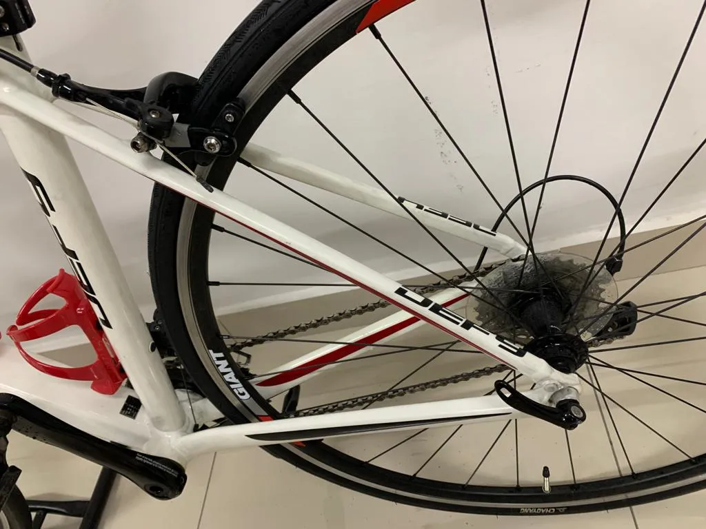 Giant Defy Aluxx 2016 (Good for Begineer &amp; Training Bike)