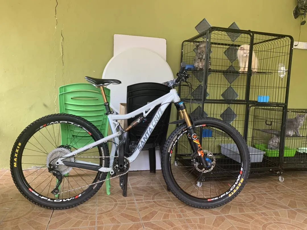 SANTA CRUZ BRONSON V2