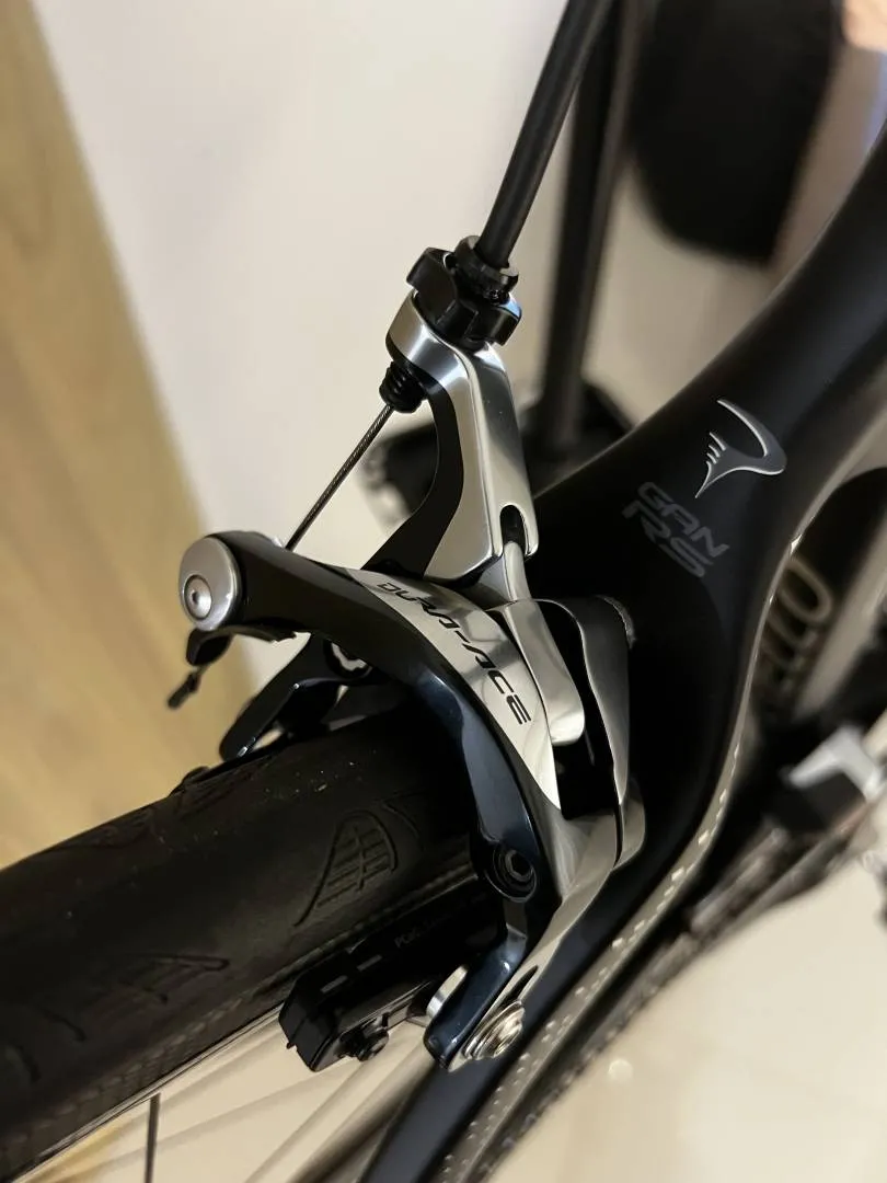 Pinarello Gan RS Carbon T900 Asymmetric