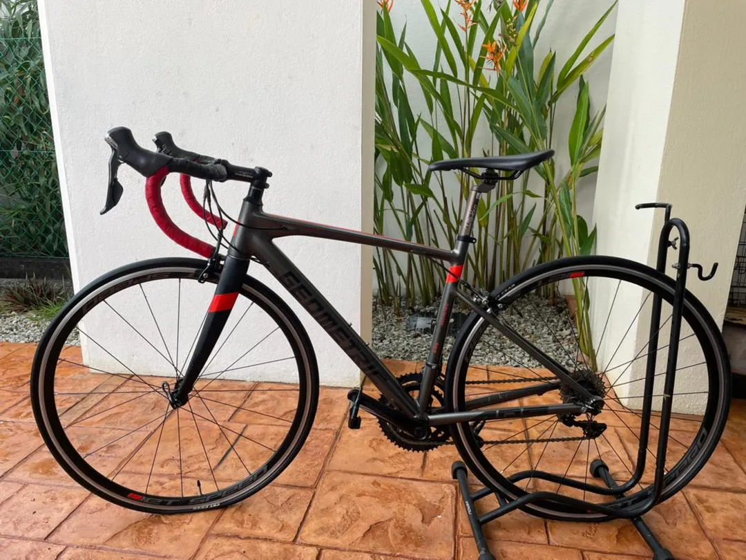 Roadbike Geometric 700C AR5 Alu (Beginner) SOLD!