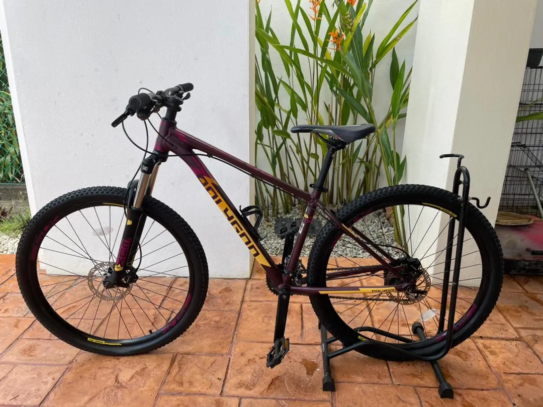 MTB Polygon Premier 4