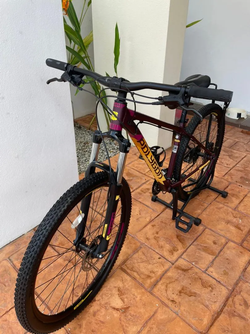 MTB Polygon Premier 4