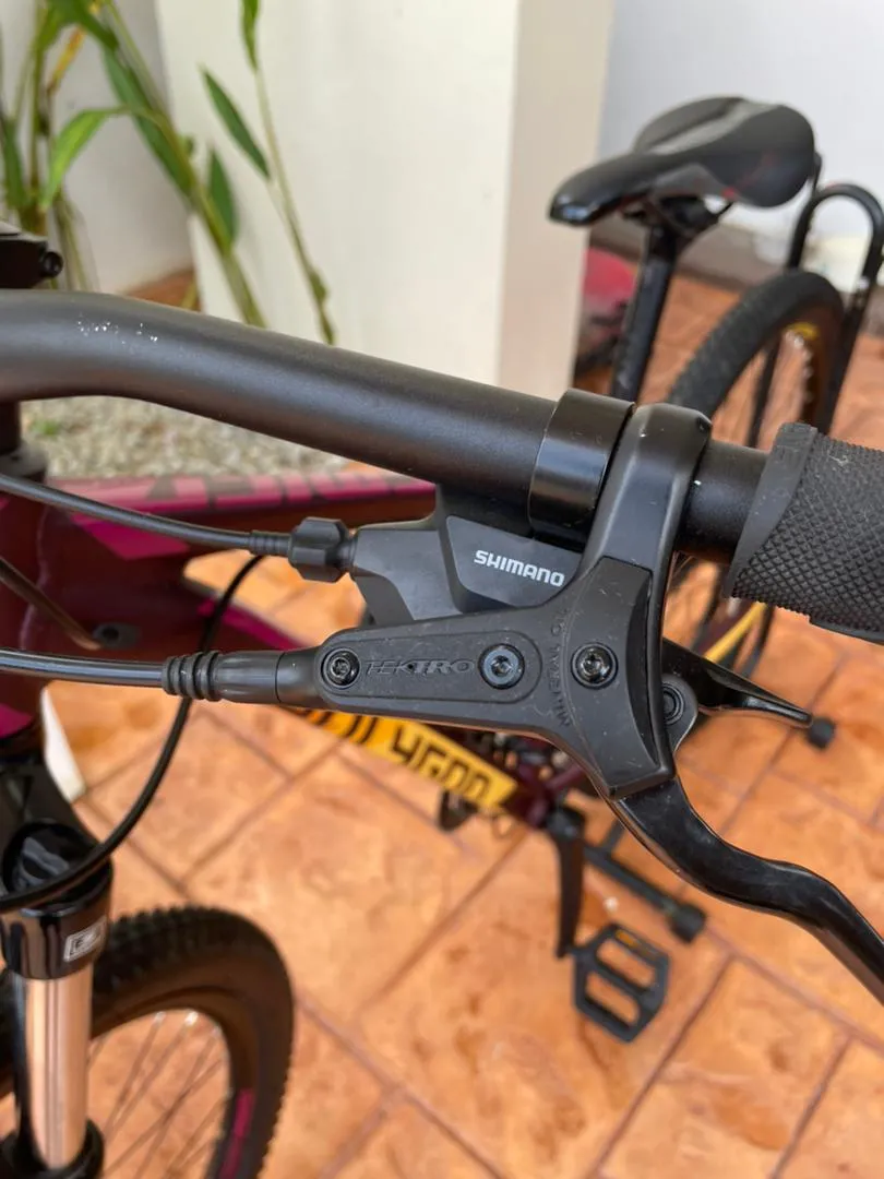 MTB Polygon Premier 4