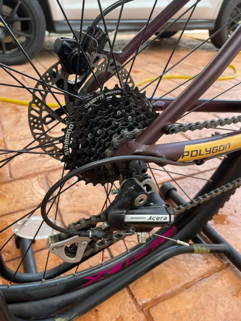 MTB Polygon Premier 4