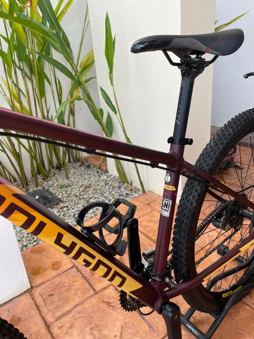 MTB Polygon Premier 4