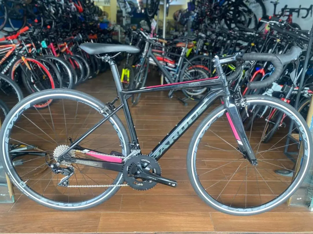 Pardus_Robin Road Bike
