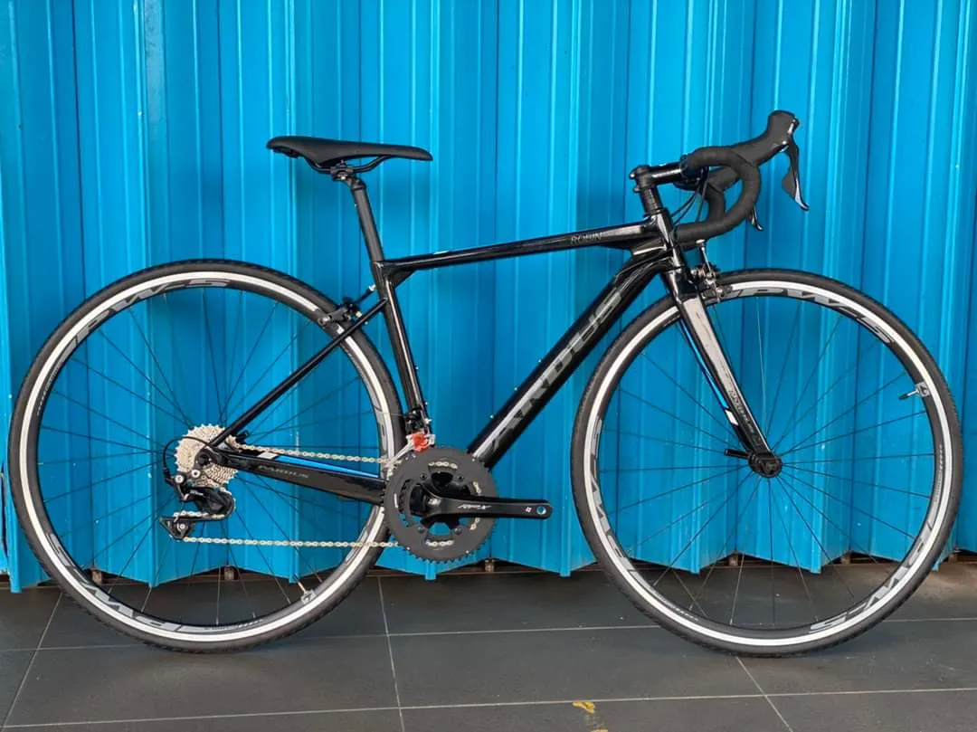 Pardus_Robin Road Bike