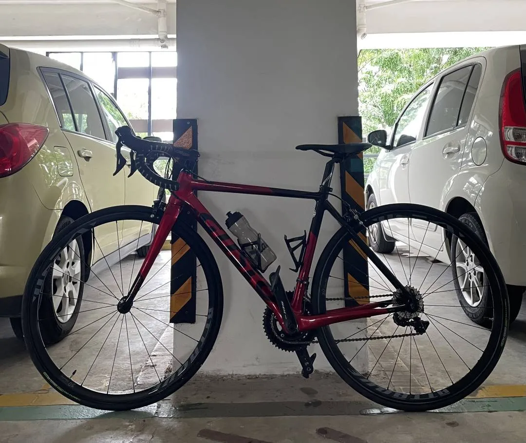 Gusto Cobra Sport 2022