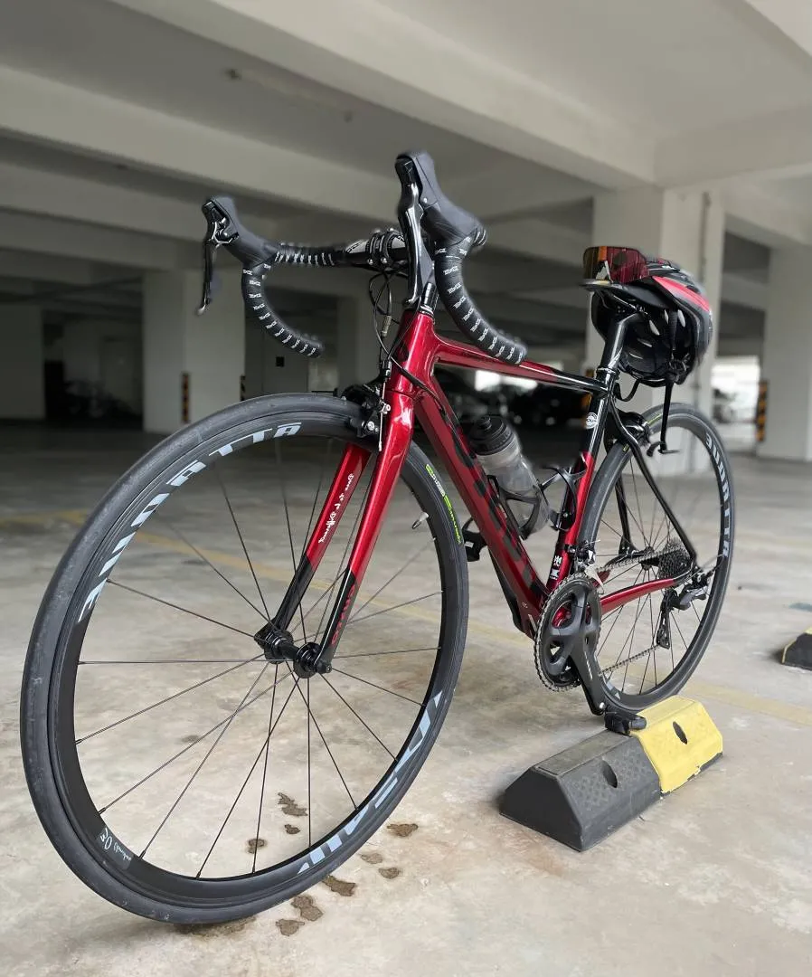 Gusto Cobra Sport 2022
