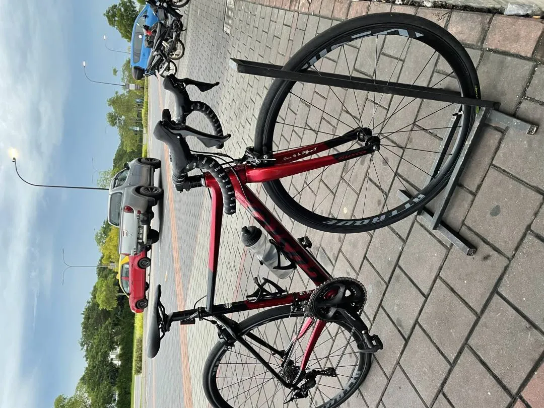 Gusto Cobra Sport 2022