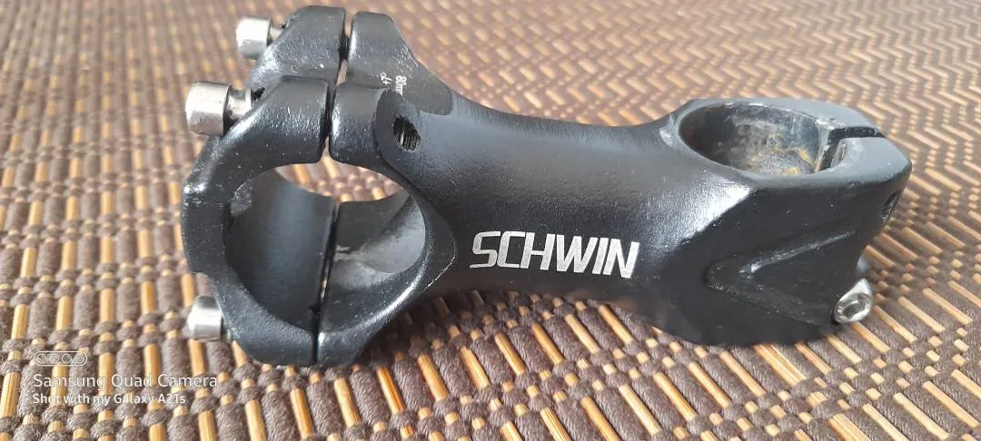 SCHWIN stem