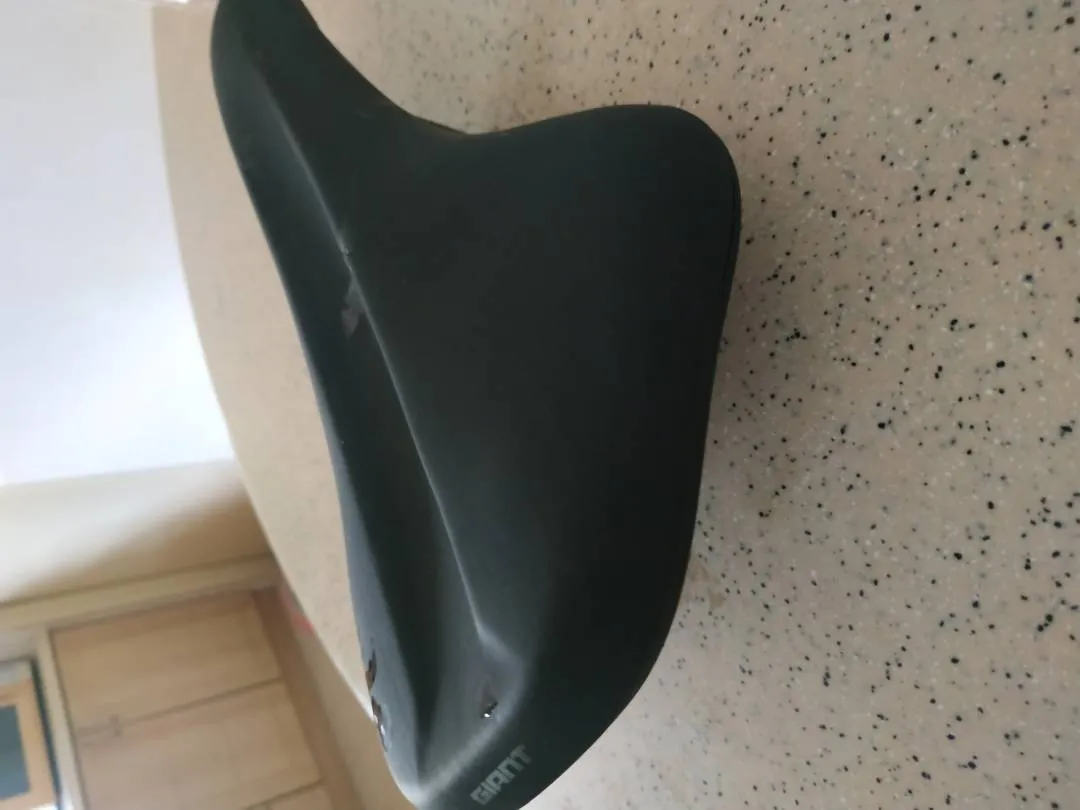 Giant saddle
