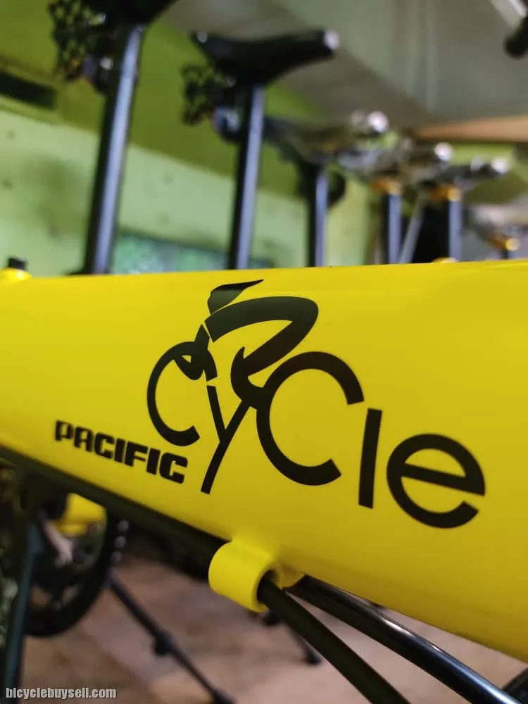 PACIFIC VITO  FOLDING BIKE 1X11 SPEED