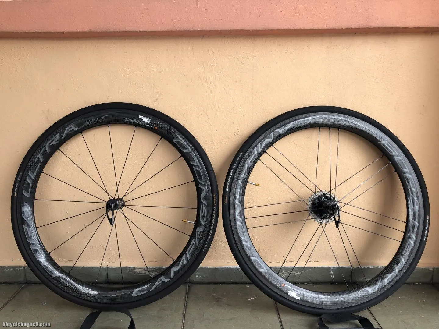 Campagnolo Bora Ultra 50 tubular