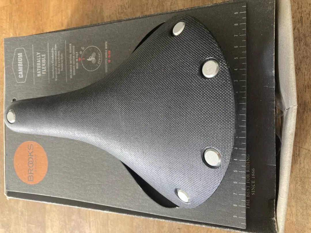 Brooks Cambium C19