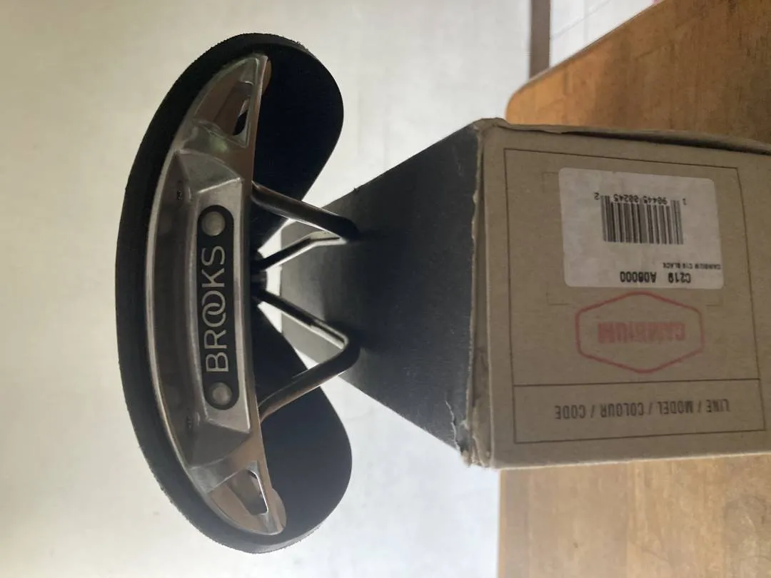 Brooks Cambium C19
