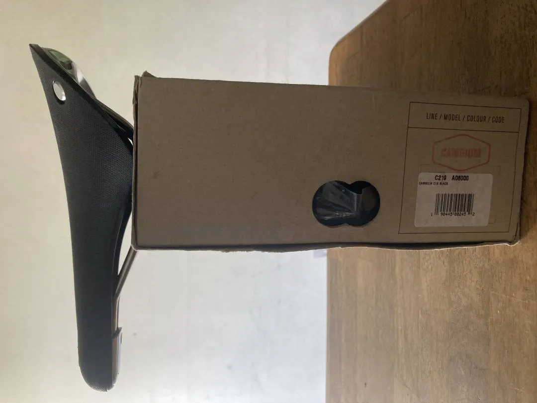 Brooks Cambium C19