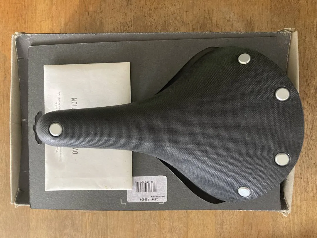 Brooks Cambium C19