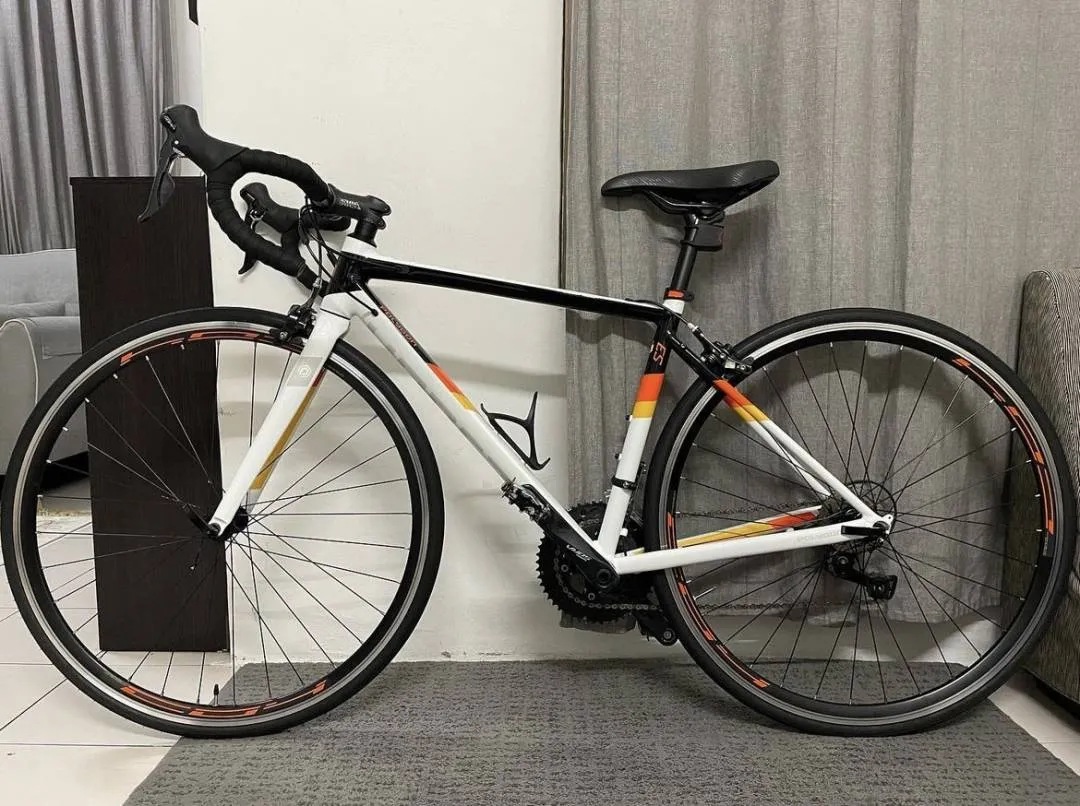 2020 Polygon S3