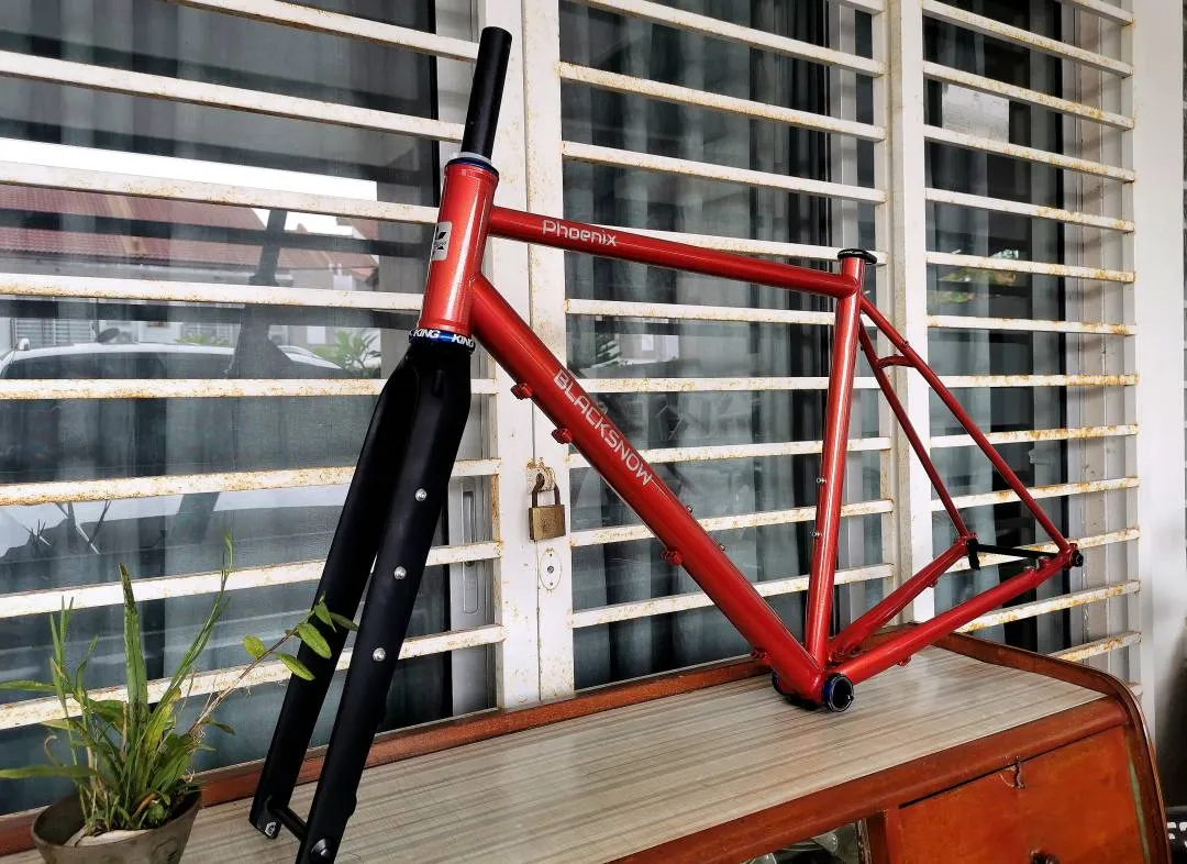 Gravel Frameset.