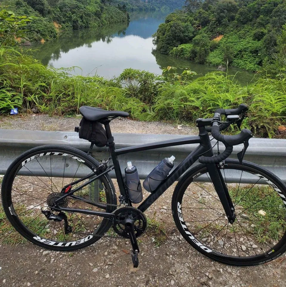 Specialized Allez Elite Size 49 Best Alloy Road Bike