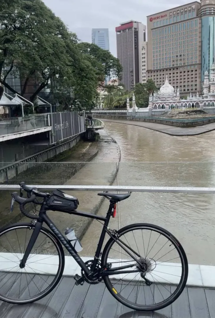 SPECIALIZED ALLEZ