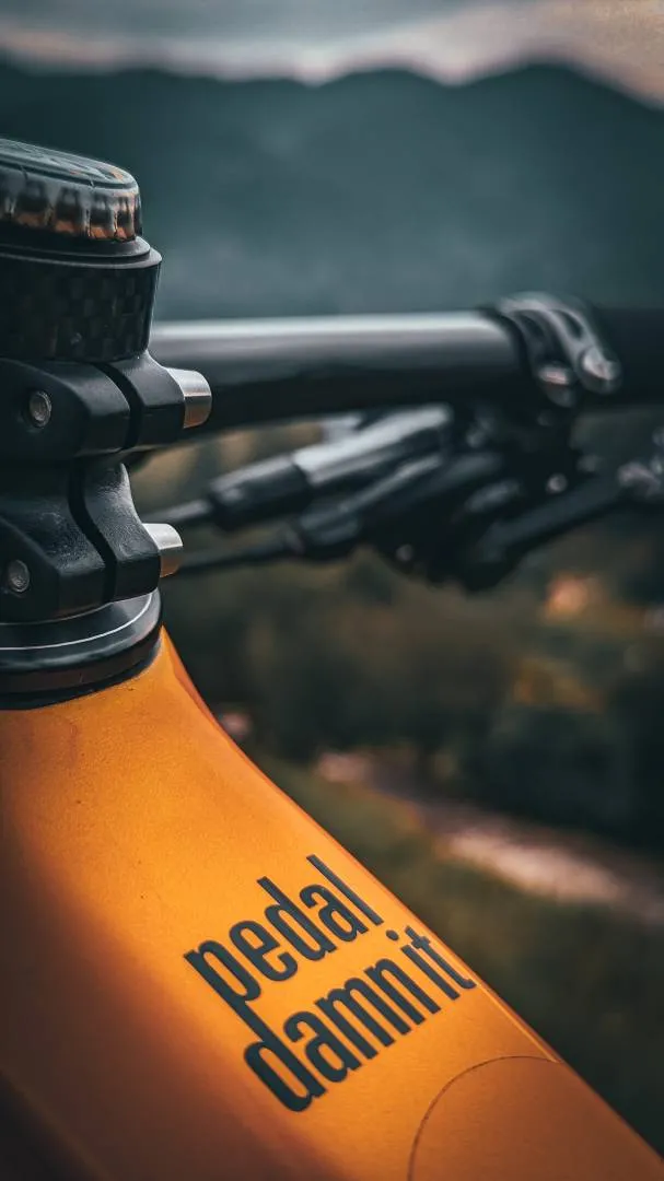 Super light weight Niner Jet 9 Carbon 29er Full Suspension