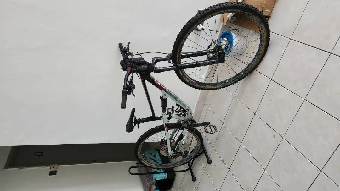 2021 Polygon Siskiu D7 WTS  size M