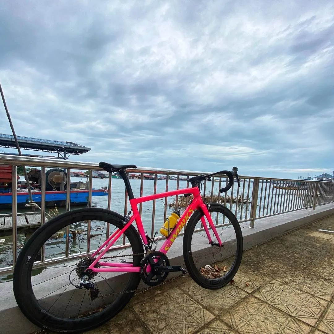 Sworks Tarmac SL6
