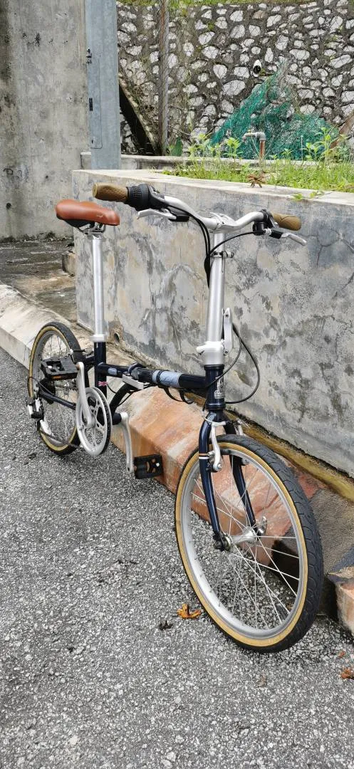 Raleigh Calypso Classic Folding Bike