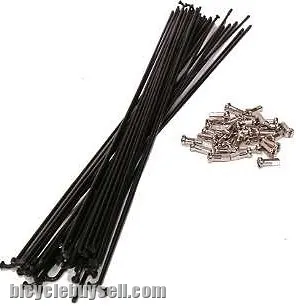 DT Swiss Champion Spoke With Brass Nipple 64pcs - 27.5" -- free courier