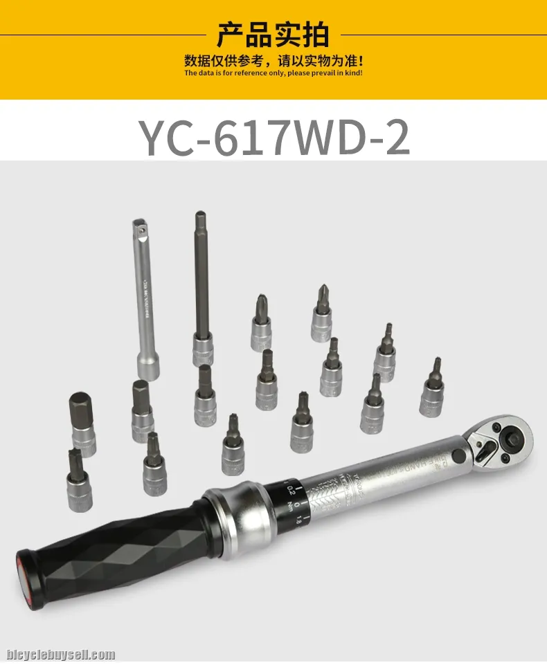 Bike Hand Torque Wrench Tool 1-25NM