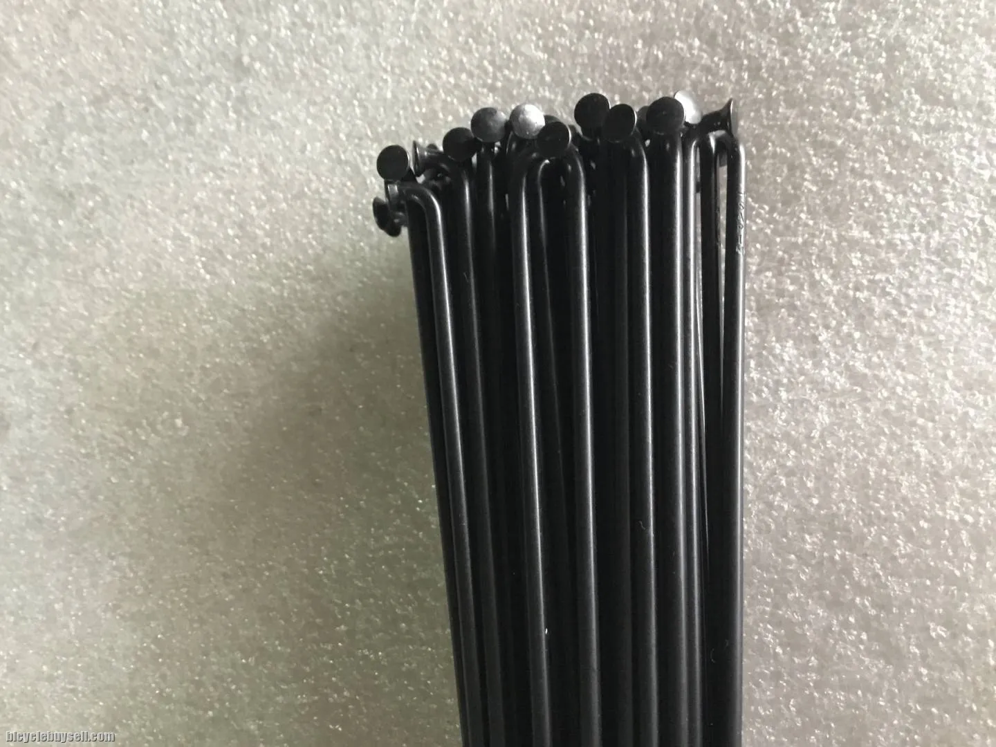 Sapim Leader Strong Spoke 29erx64pcs @ free pos