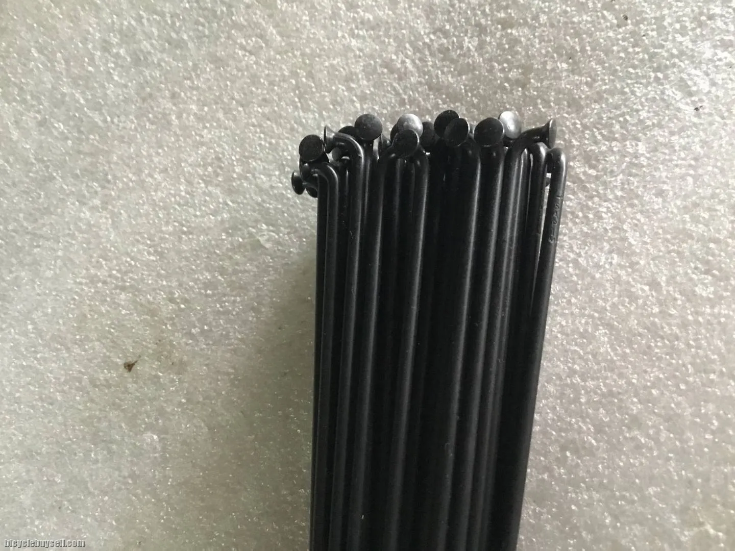 Sapim Leader Strong Spoke 29erx64pcs @ free pos