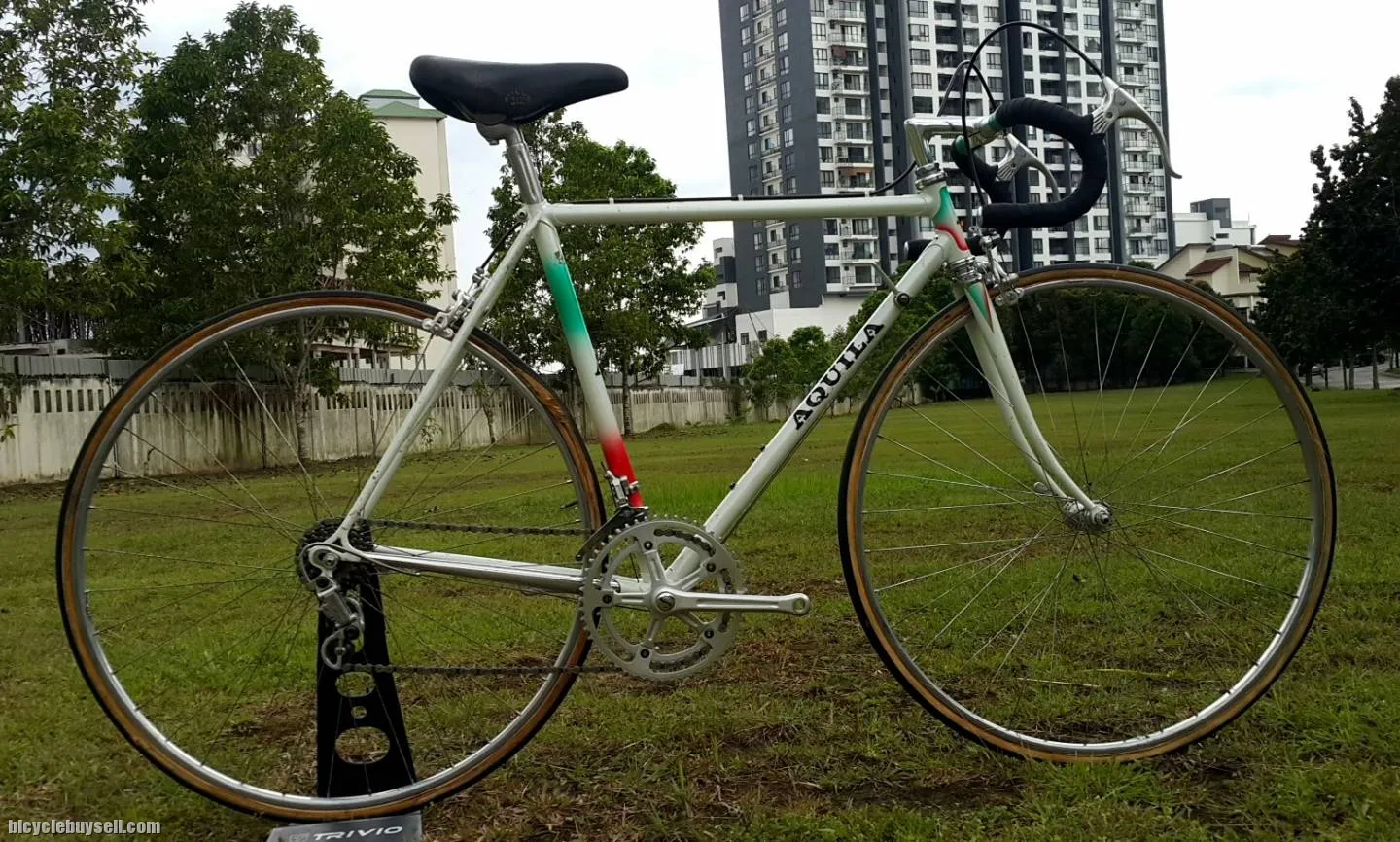 Aquila Custom Handbuilt Italian Vintage Roadbike