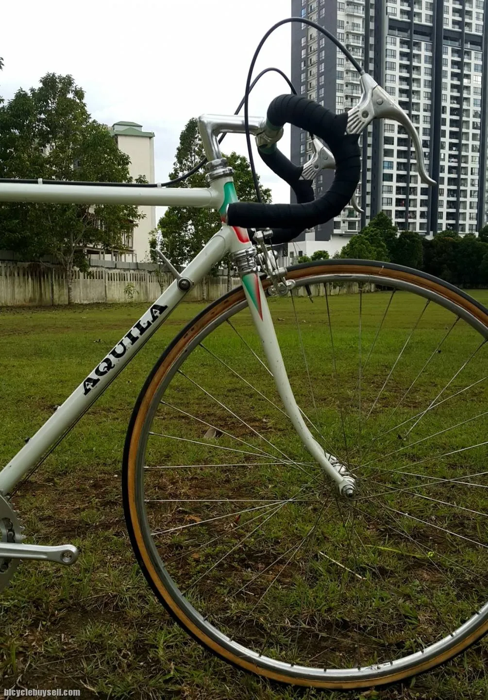 Aquila Custom Handbuilt Italian Vintage Roadbike