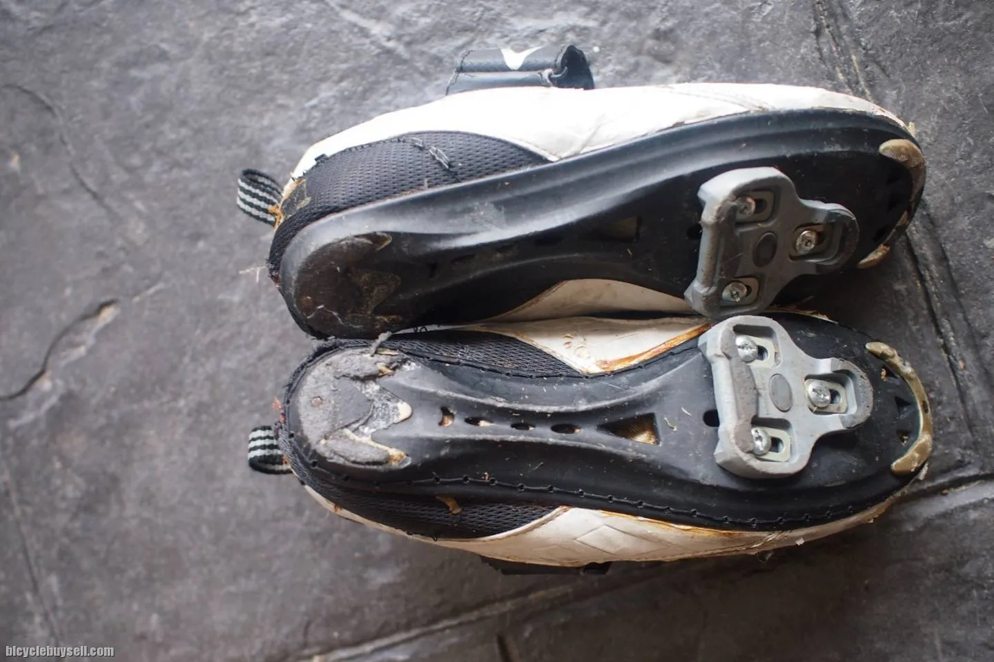 DHB cycling shoe