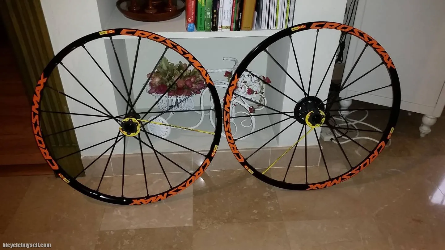 Santa Cruz 5010CC