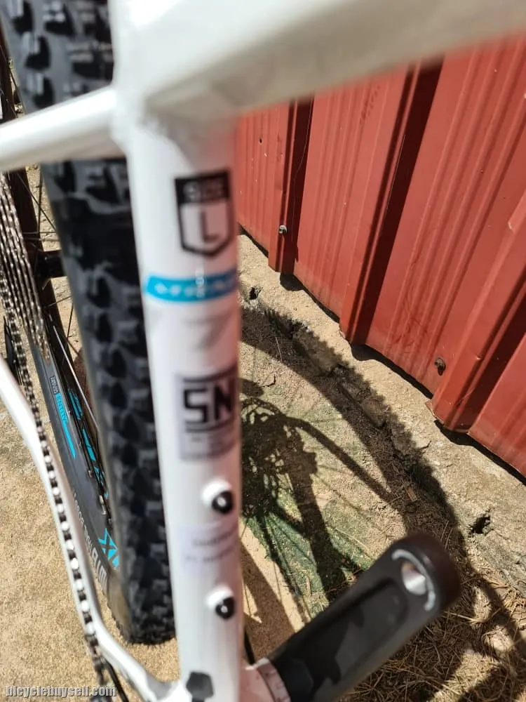 Polygon Xtrada 7 29er -L size- New model !!! (1x12 speeds !!)