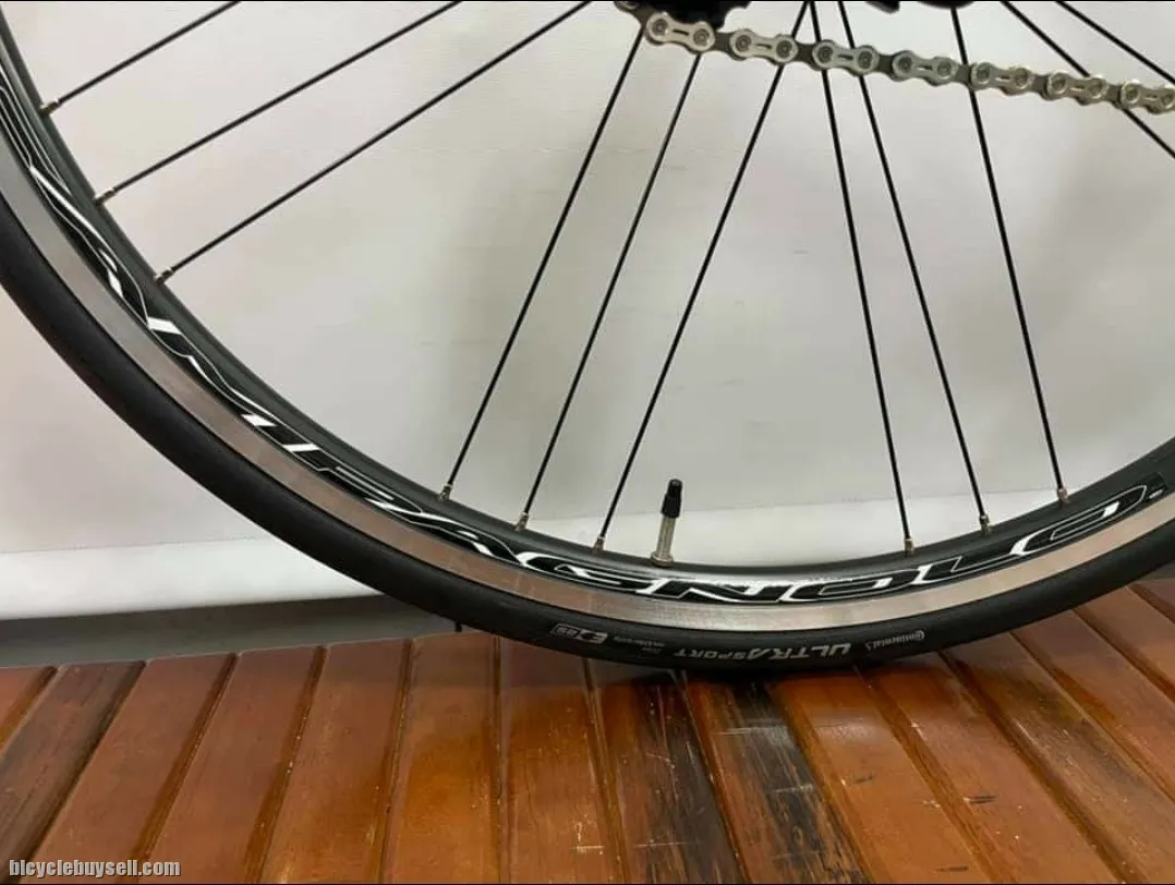 2021 Hasa RS2 Campagnolo