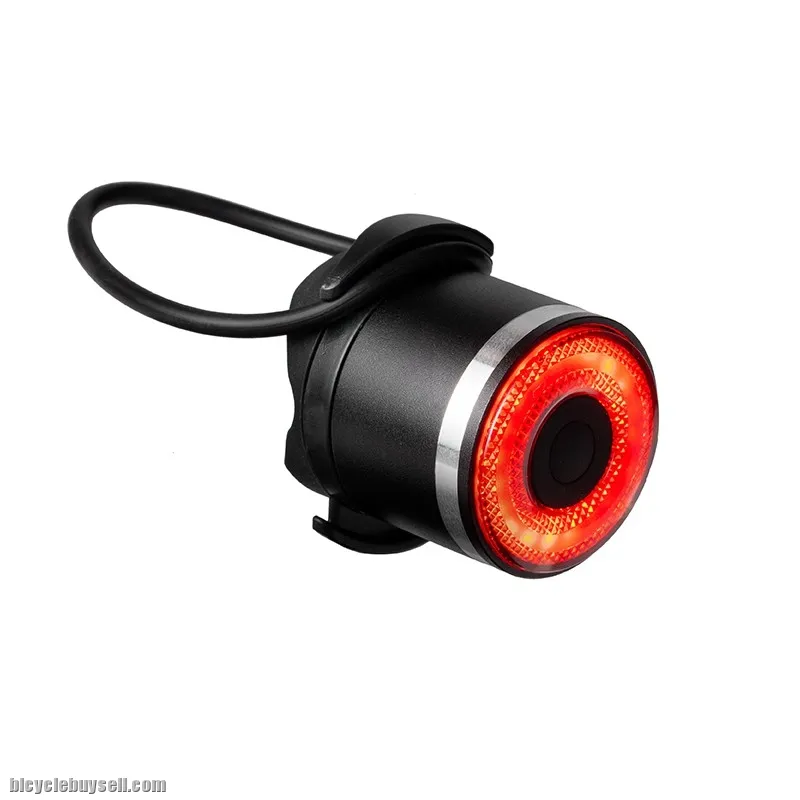 Liteskin Smart Bicycle Rear Light COD SUBANG JAYA or Post Malaysia