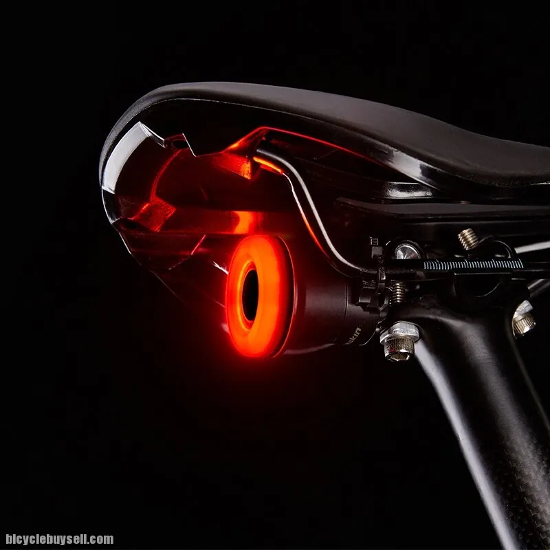 Liteskin Smart Bicycle Rear Light COD SUBANG JAYA or Post Malaysia