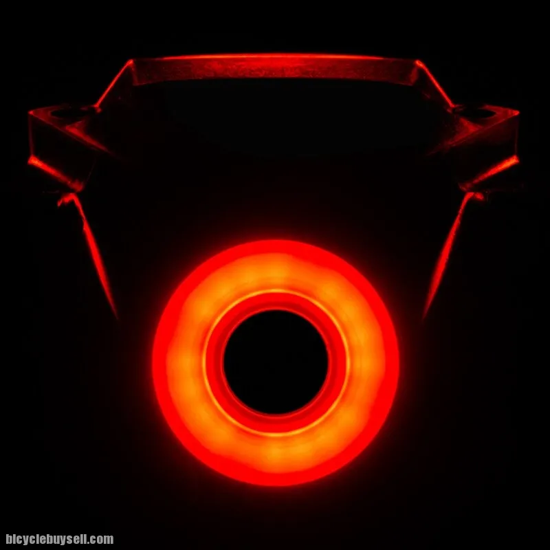 Liteskin Smart Bicycle Rear Light COD SUBANG JAYA or Post Malaysia